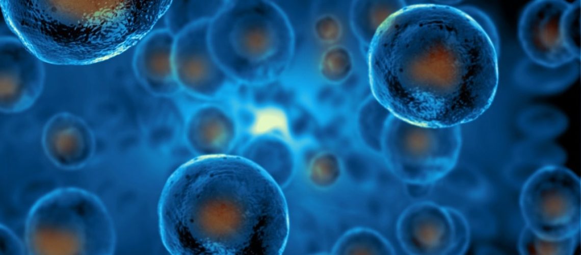 Study: Stem cell mTOR signaling directs region-specific cell fate decisions during intestinal nutrient adaptation. Image Credit: Giovanni Cancemi/Shutterstock.com