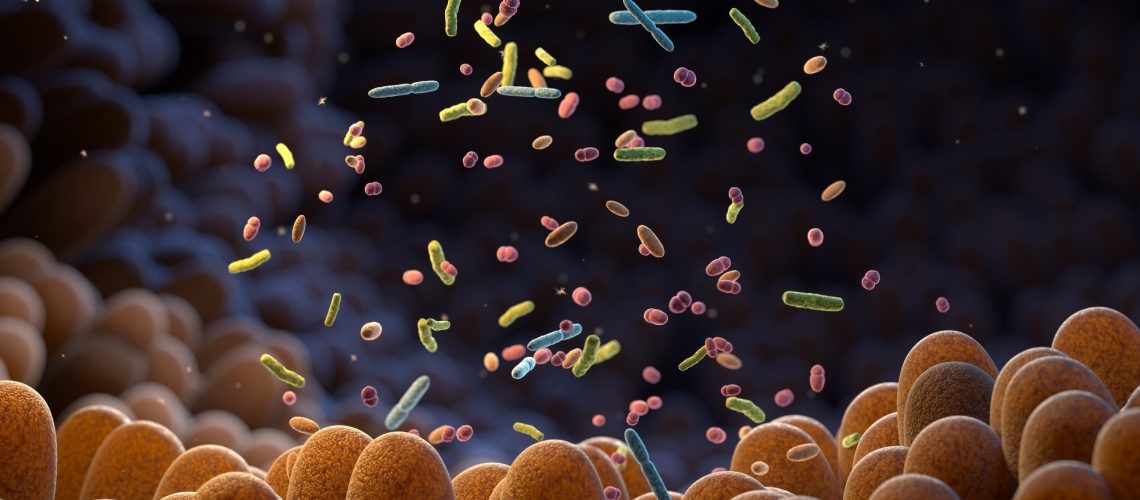 Study: Association between gut microbiome profiles and host metabolic health across the life course: a population-based study. Image Credit: Tatiana Shepeleva / Shutterstock