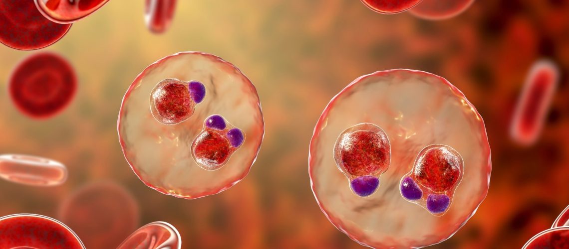 Study: Subcutaneous Administration of a Monoclonal Antibody to Prevent Malaria. Image Credit: Kateryna Kon / Shutterstock