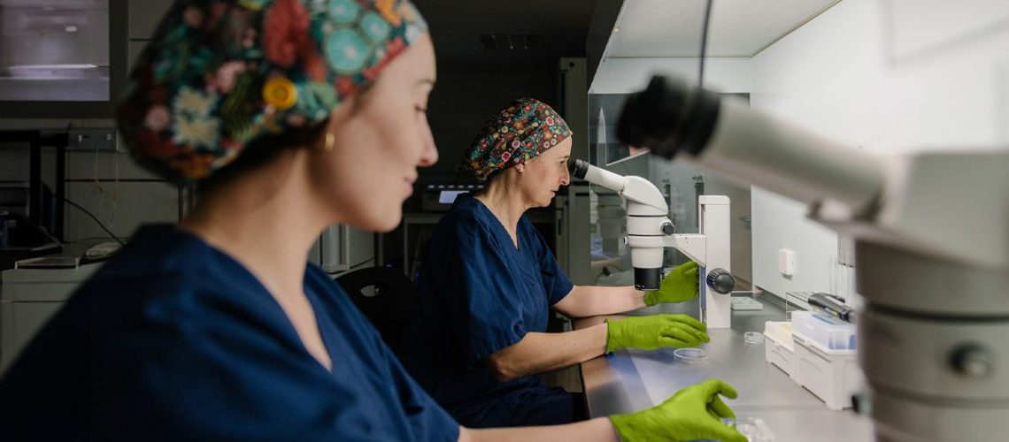 חיסון נגד סרטן עם אימונותרפיה מכווץ גידולי כבד, כך עולה מניסויים