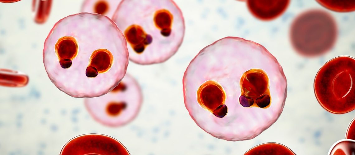 Review: Malaria vaccines: a new era of prevention and control. Image Credit: Kateryna Kon / Shutterstock