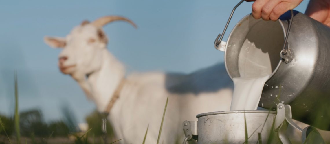 Study: Four Dairy Products Mitigates Sarcopenia in Mice by Modulating Muscle Inflammation, Autophagy, and Protein Degradation. Image Credit: StockMediaSeller / Shutterstock