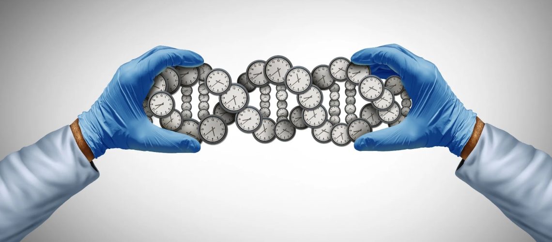 Study: How epigenetic clocks tick: unpacking the black box by deciphering biological pathways and transcriptomic signatures of accelerated aging. Image Credit: Lightspring / Shutterstock