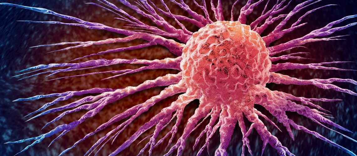 Study: SDR42E1 modulates vitamin D absorption and cancer pathogenesis: insights from an in vitro model. Image Credit: Lightspring / Shutterstock