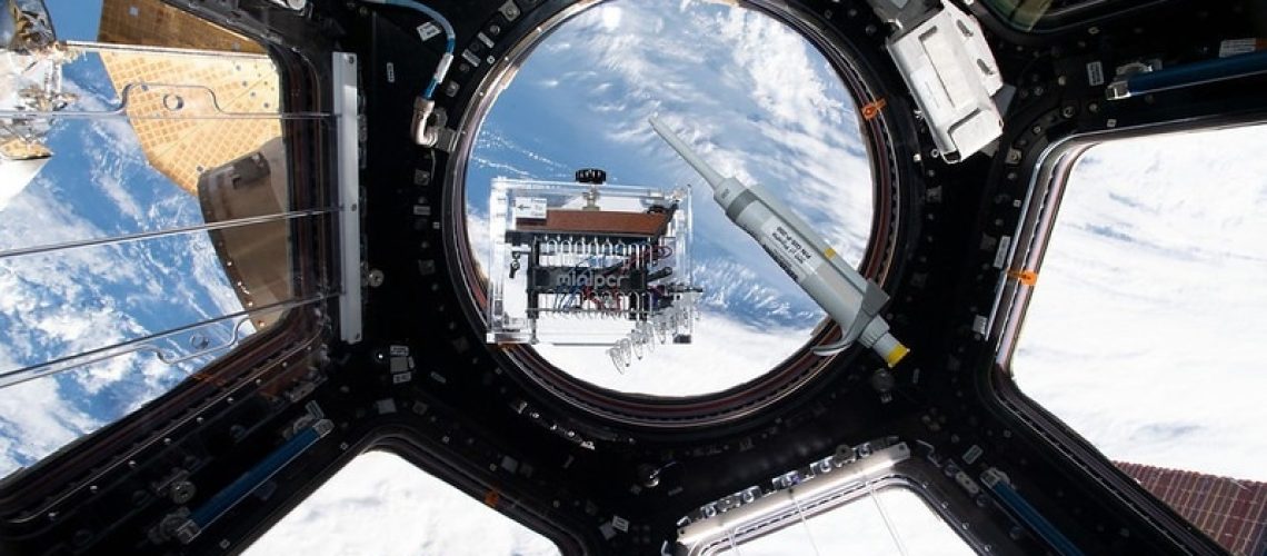 New ISS investigation expands genes in space toolkit for student spaceflight experiments