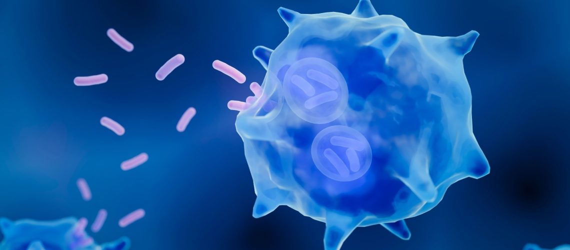 Study: Resident tissue macrophages: Key coordinators of tissue homeostasis beyond immunity. Image Credit: ART-ur/Shutterstock.com