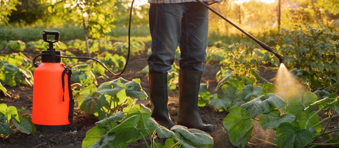 Farmer spraying pesticide