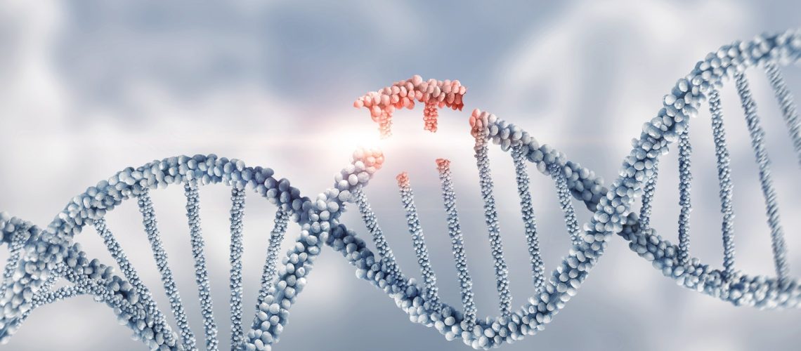 Study: Engineered extracellular vesicle-based gene therapy for the treatment of discogenic back pain. Image Credit: Natali _ Mis/Shutterstok.com