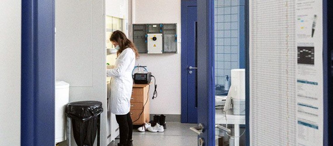 טיפולים באלצהיימר: הסיכונים של נוגדנים חד שבטיים עשויים לעלות על היתרונות