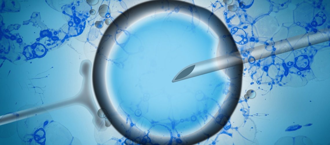 Study: Emerging therapeutic strategies to mitigate female and male reproductive aging. Image Credit: BGStock72 / Shutterstock