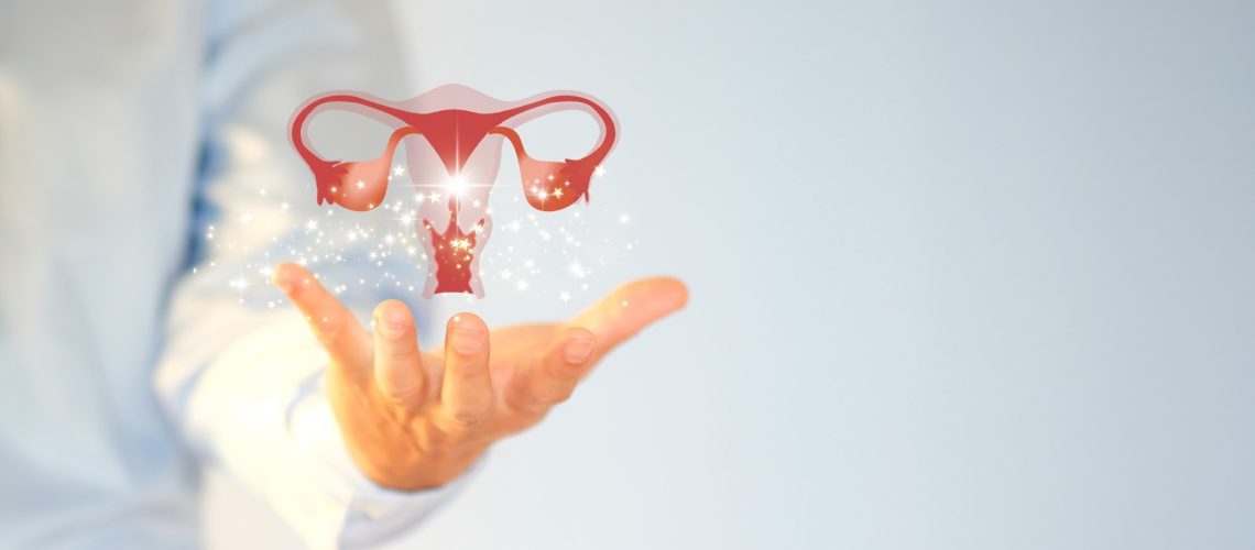 ​​​​​​​Study: Reversible Mechanical Contraception and Endometriosis Treatment Using Stimuli-Responsive Hydrogels. Image Credit: Ws Studio1985/Shutterstock.com