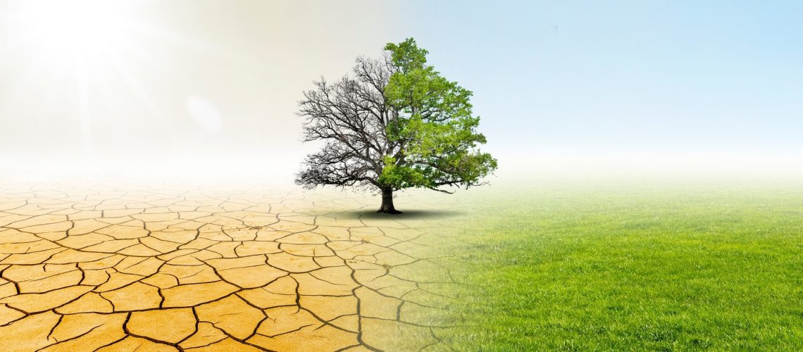 Review: Mortality impacts of the most extreme heat events. Image Credit: by-studio / Shutterstock
