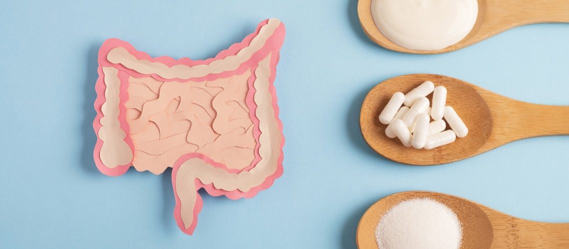 Study: Diet, microbiome, and probiotics establish a crucial link in vaccine efficacy. Image Credit: Helena Nechaeva / Shutterstock