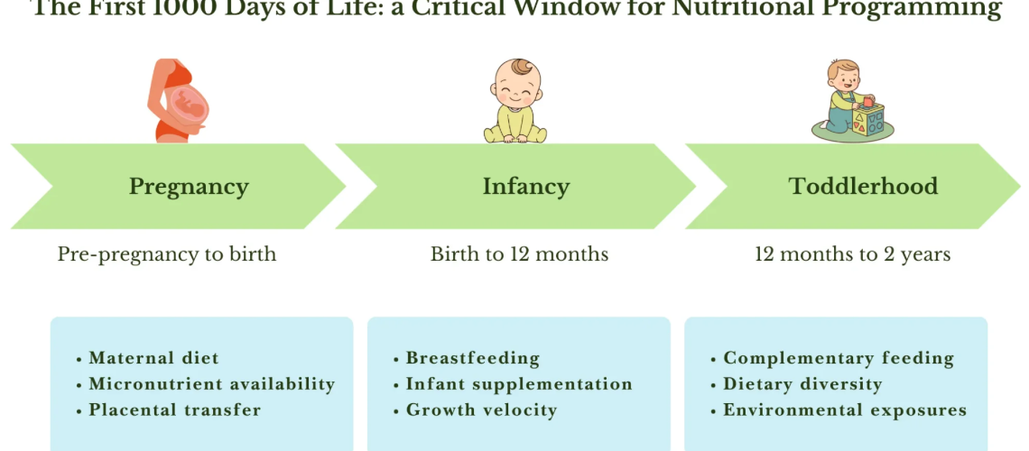 Key maternal, infant, and environmental factors influencing nutritional programming during pregnancy, infancy and toddlerhood.