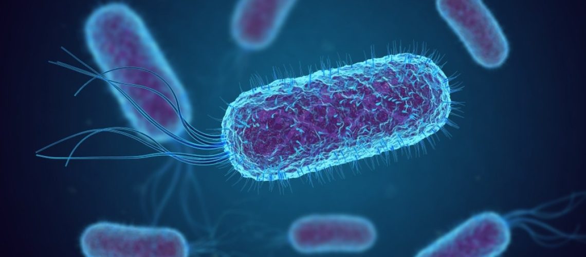 Study: Colibactin-driven colon cancer requires adhesin-mediated epithelial binding. Image Credit: fusebulb/Shutterstock.com