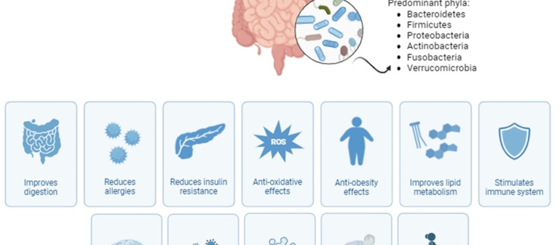 Review: Substitutive Effects of Milk vs. Vegetable Milk on the Human Gut Microbiota and Implications for Human Health