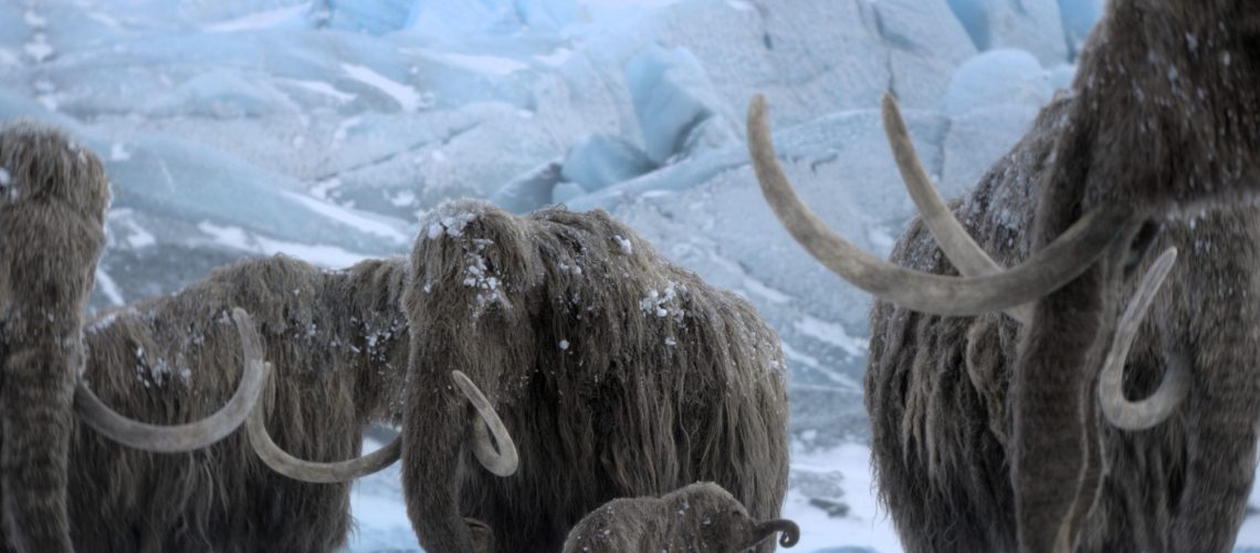 כיצד לצפות ב-"Prehistoric Planet: Ice Age" באינטרנט - קבלו 54% הנחה עם מבצע המגה של Apple TV של Black Friday