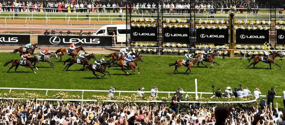 Without A Fight wins last year's Melbourne Cup ahead of Soulcombe and Sheraz