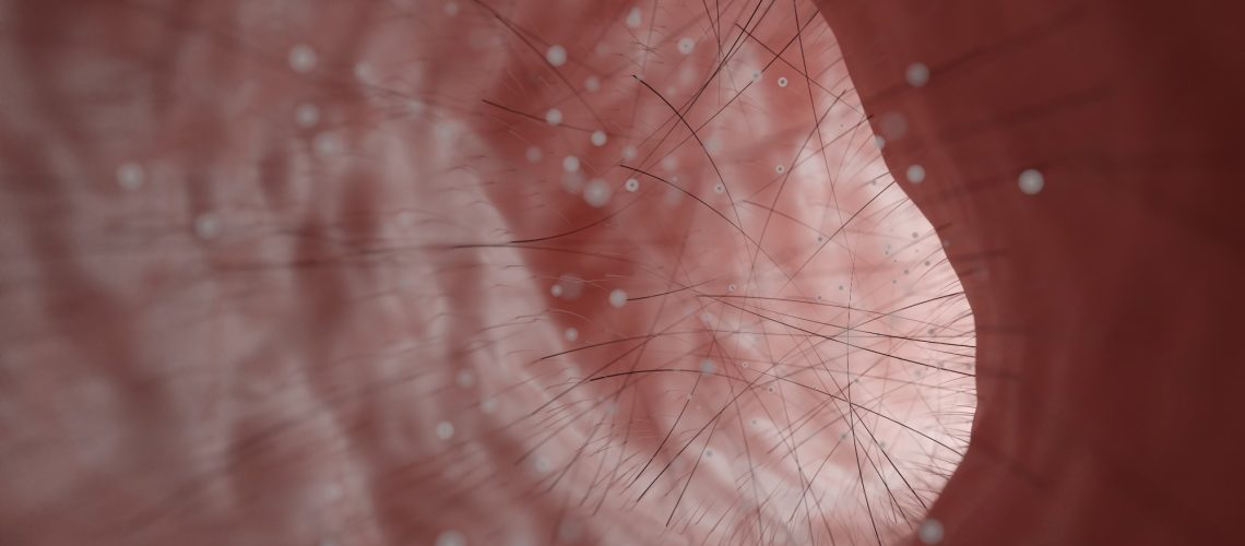 Study: CD4+ and CD8+ T cells are required to prevent SARS-CoV-2 persistence in the nasal compartment. ​​​​​​​Image Credit: Chawalit Banpot / Shutterstock