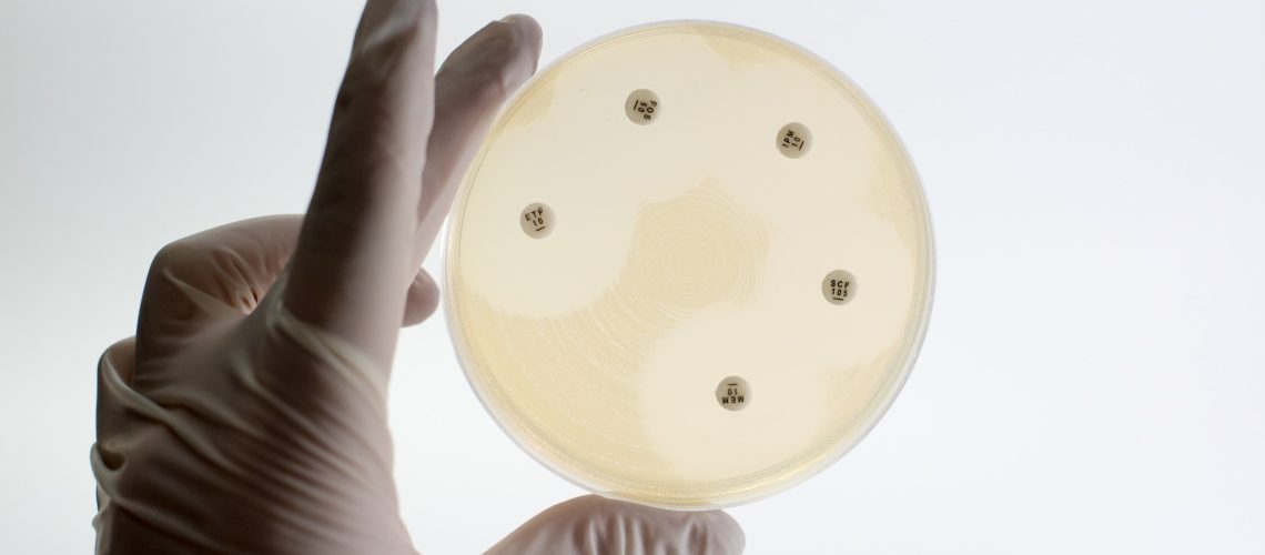 Drug sensitivity test, disk drug