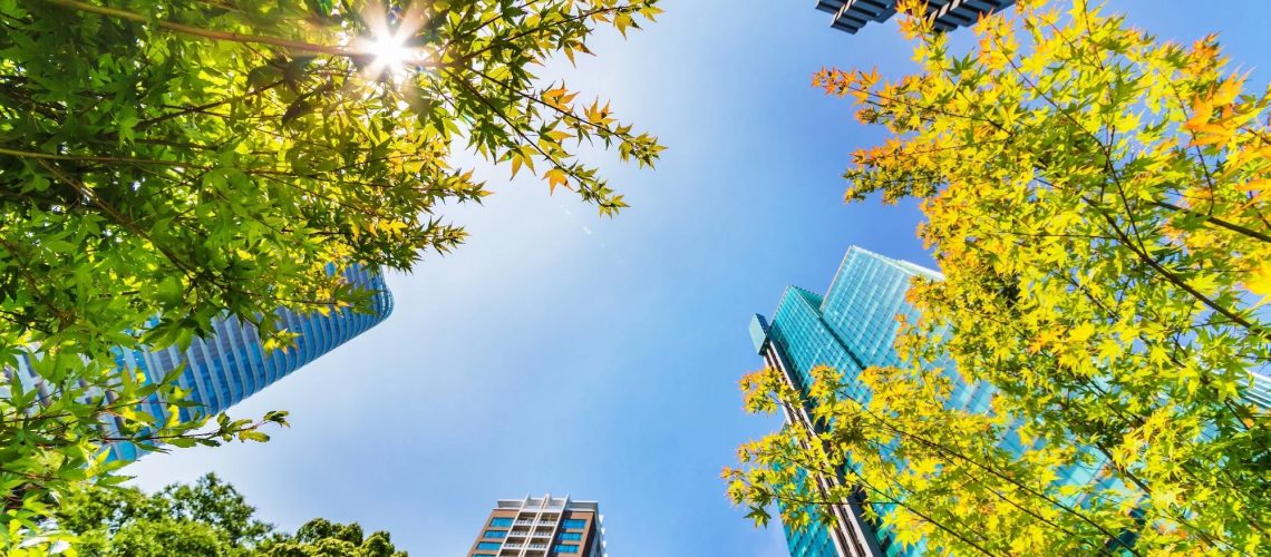 Review: The future of nature-based recreation in warming tropical cities. Image Credit: taka1022 / Shutterstock