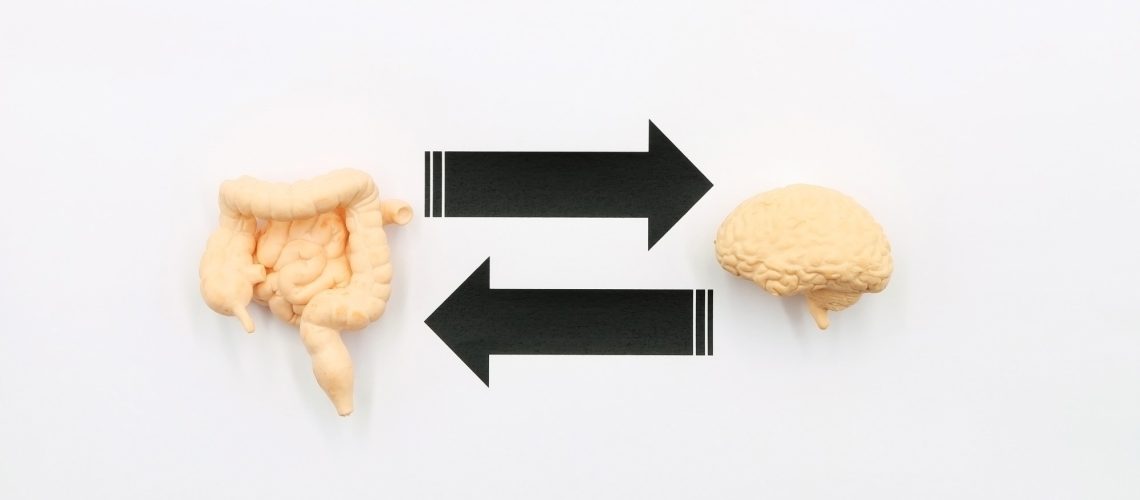 Study: Nutrition and Disorders of Gut–Brain Interaction. Image Credit: TopMicrobialStock/Shutterstock.com