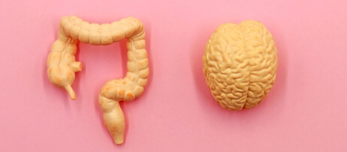 כיצד תזונה יכולה להשפיע על תוצאות אלצהיימר ופרקינסון