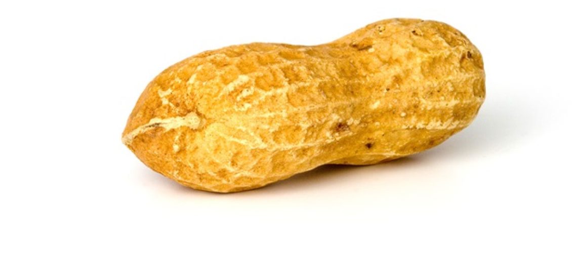 כלים פשוטים מגדילים את עמידה בתאימות לילדים בהנחיות למניעת אלרגיה מוקדמת של בוטנים