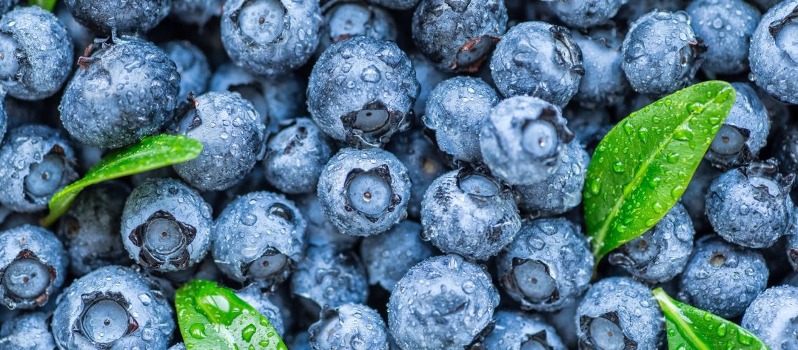 Study: Inter-Individual Responses to a Blueberry Intervention across Multiple Endpoints. Image Credit: Bukhta Yurii/Shutterstock.com