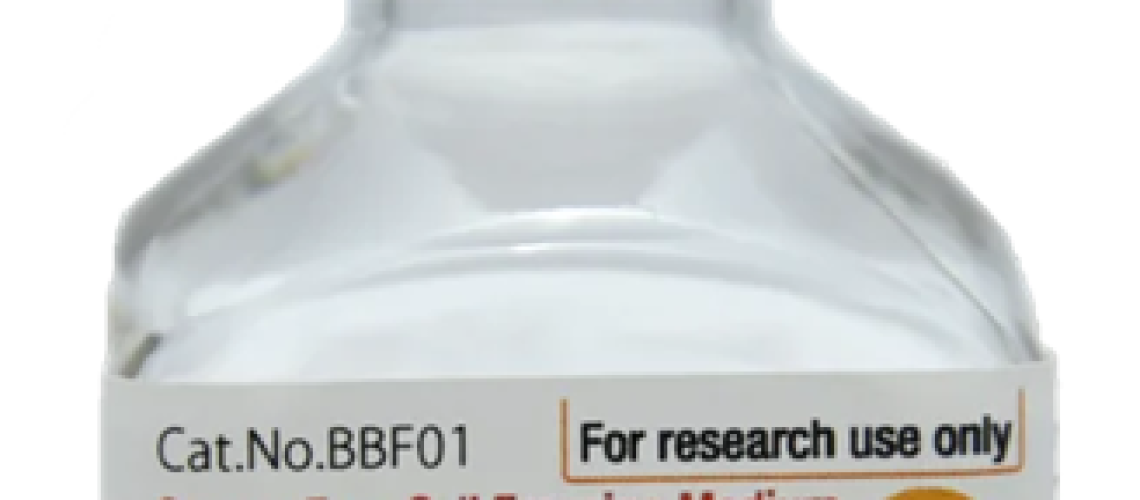 ללא DMSO מגדיר מחדש את עתיד שימור ההקפאה