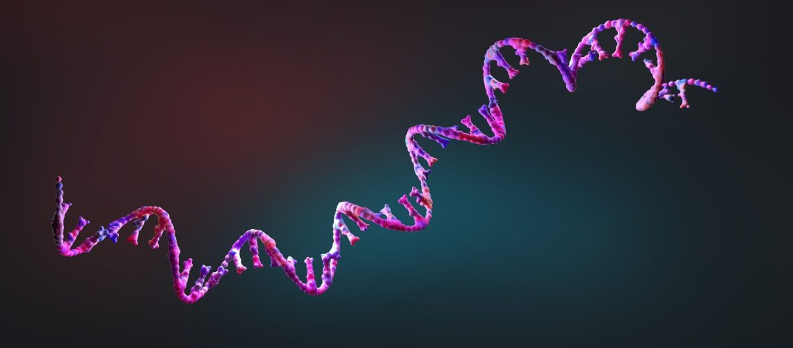 Study: Accurate RNA 3D structure prediction using a language model-based deep learning approach. Image Credit: Christoph Burgstedt / Shutterstock