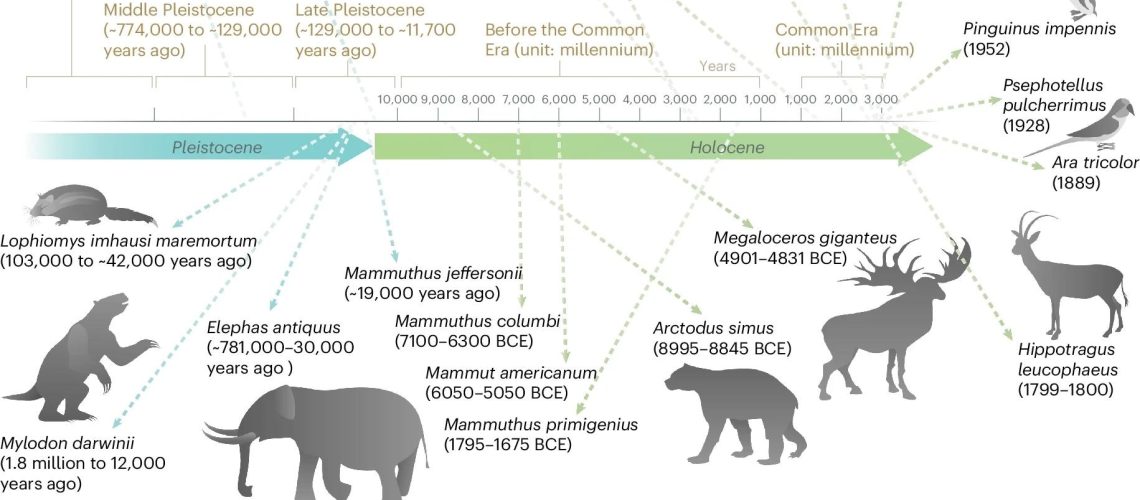 Molecular de-extinction of antibiotics from ancient proteomes using deep learning. All available proteomes of extinct organisms were mined by APEX, our deep learning algorithm. Amino acid sequences ranging from 8 to 50 amino acid residues within proteins from extinct organisms were inputted into multitask deep learning models that trained on both public and in-house peptide data to evaluate the potential antimicrobial activity. The highest ranked peptides based on predicted antimicrobial activities were then selected and thoroughly characterized against clinically relevant pathogens both in vitro and in animal models. The mechanism of action, physicochemical features and synergistic interactions of these peptides were also assayed. The dates report the approximate extinction date or period for the organisms studied. The protein and peptide structures shown in the figure were created with PyMOL Molecular Graphics System, version 2.1 Schrödinger, LLC.