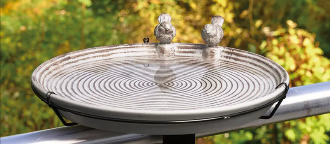 Aldi Belavi bird drinking trough