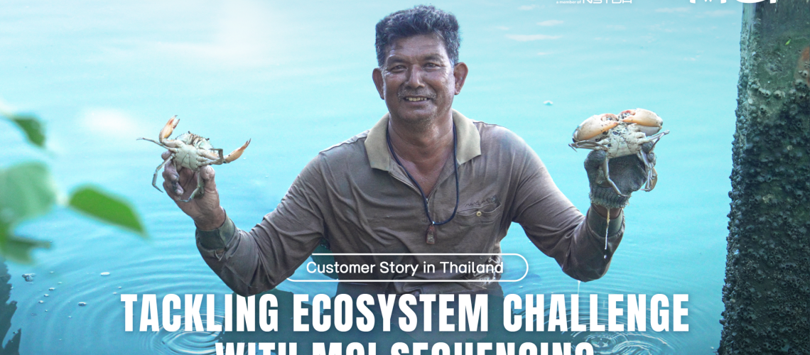 מאמצי שימור מנגרובים בתאילנד