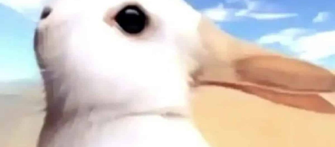 מבחן אישיות