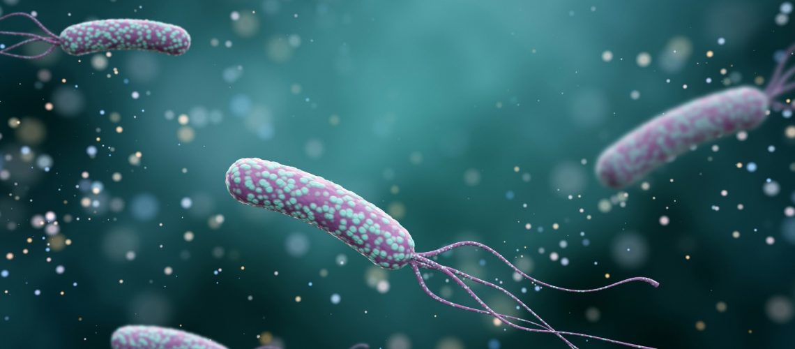 Study: The causal effect of Helicobacter pylori infection on coronary heart disease is mediated by the body mass index: a Mendelian randomization study. Image Credit: K_E_N/Shutterstock.com
