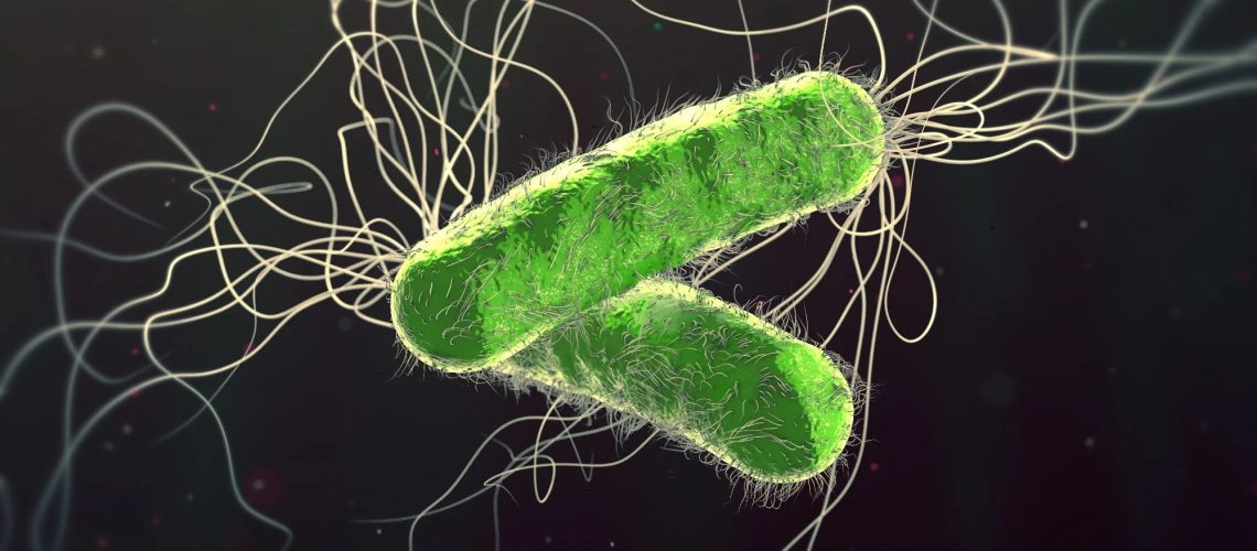 Green colored multiple antibiotic resistant Pseudomonas aeruginosa bacterium - 3d illustration