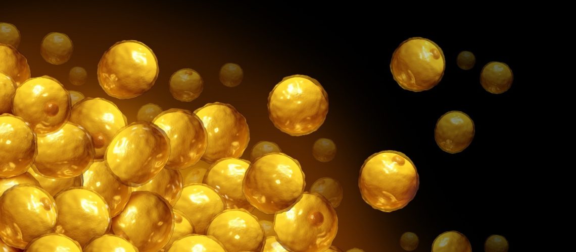 Perspective: The challenges of assessing adiposity in a clinical setting. Image Credit: Lightspring / Shutterstock