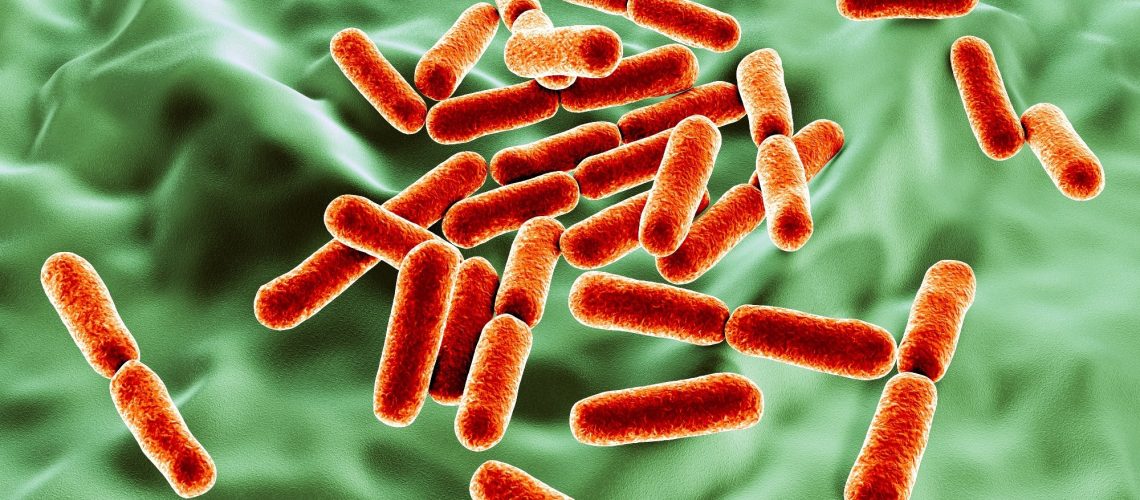 מדענים חושפים את מנגנוני הנשימה הנסתרים של חיידקי המעי
