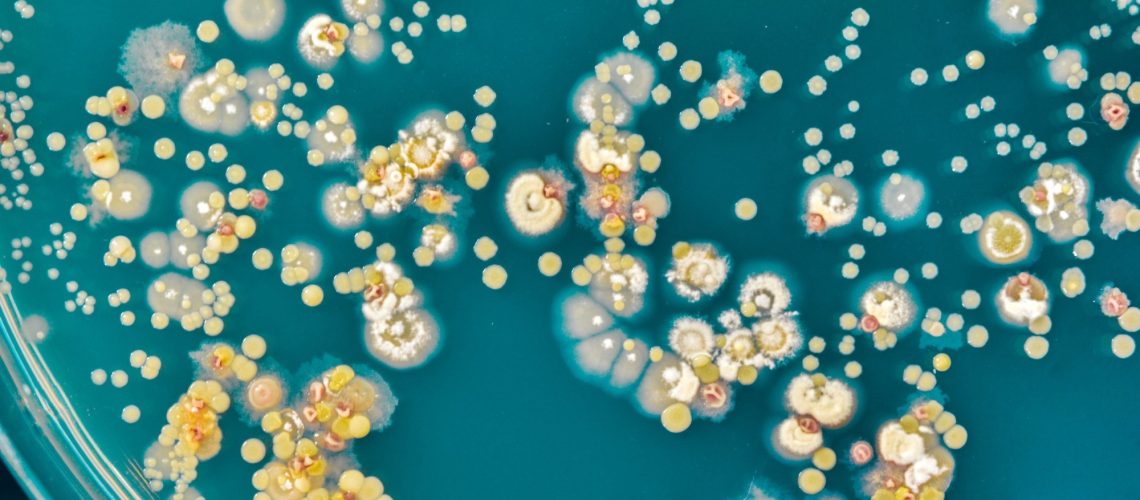 Study: A catalog of small proteins from the global microbiome. Image Credit: Pakpoom Nunjui / Shutterstock