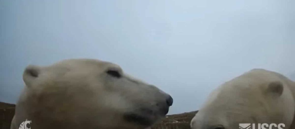 מדענים חיברו