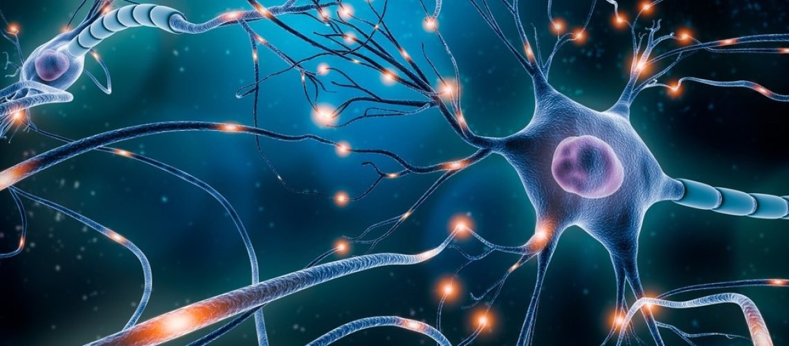 Study: The cerebellum directly modulates the substantia nigra dopaminergic activity. Image Credit: MattL_Images/Shutterstock.com