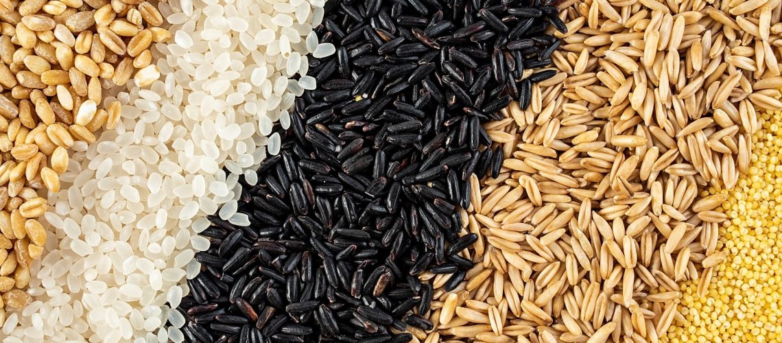 Review: Healthy Grains in Healthy Diets: The Contribution of Grain Foods to Diet Quality and Health in the National Health and Nutrition Examination Survey 2017–2023. Image Credit: sisi2017 / Shutterstock