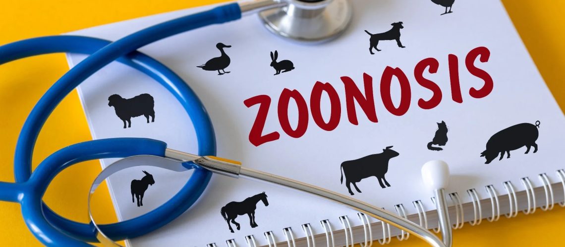 Study: A complete catalogue of human-infective RNA viruses. Image Credit: Andrzej Rostek / Shutterstock