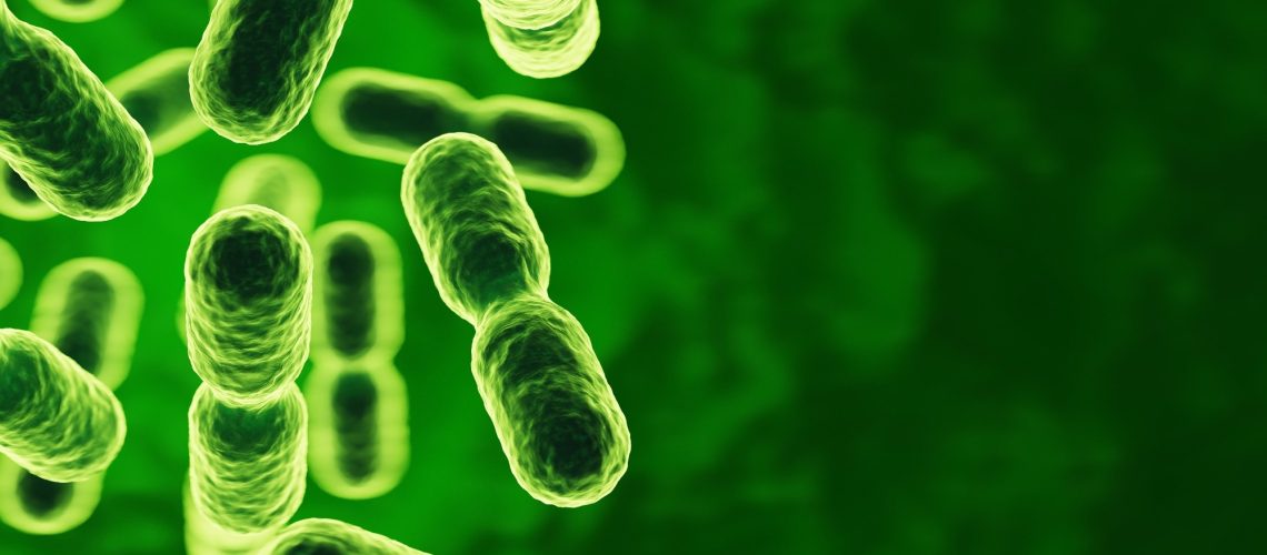 Study: Discovery of intestinal microorganisms that affect the improvement of muscle strength. Image Credit: e-crow / Shutterstock