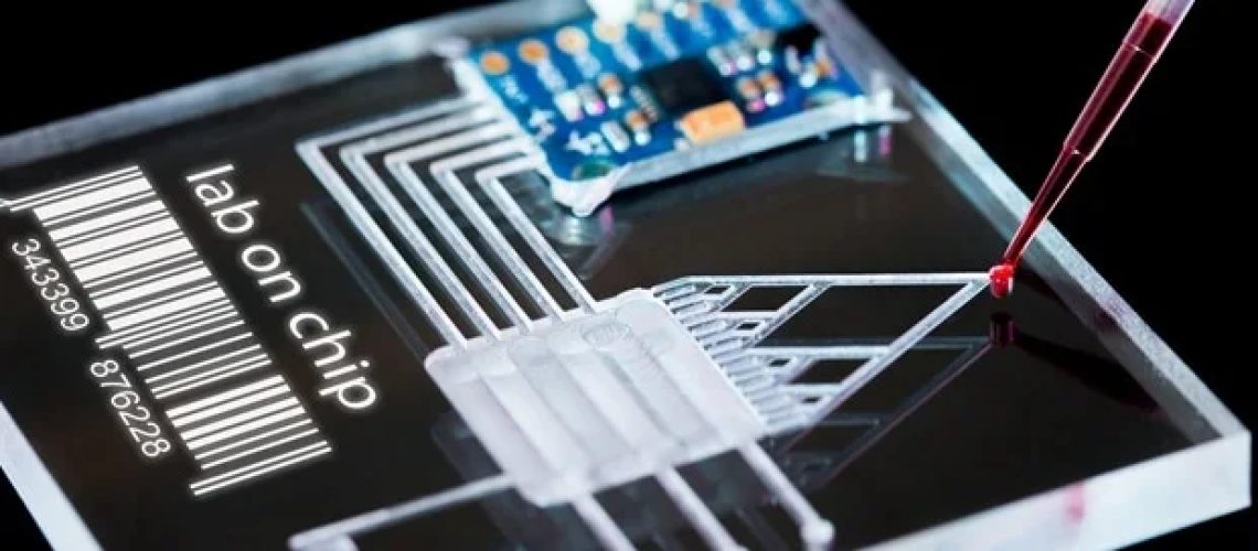 מהפכה בתרבית תאים תלת מימדית עם טכנולוגיה דיגיטלית מיקרופלואידית פשוטה