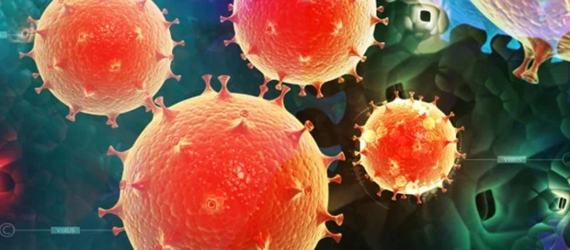 מודל איבר על שבב מקדם את המחקר של זיהומים המועברים במגע מיני