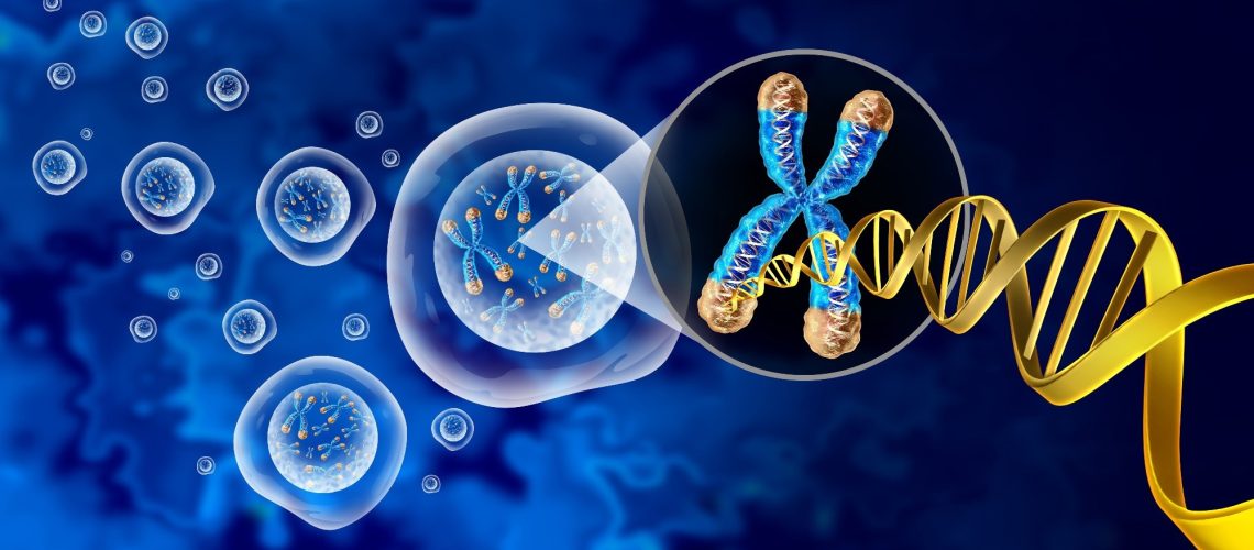 Study: A persistent variant telomere sequence in a human pedigree. Image Credit: Lightspring / Shutterstock
