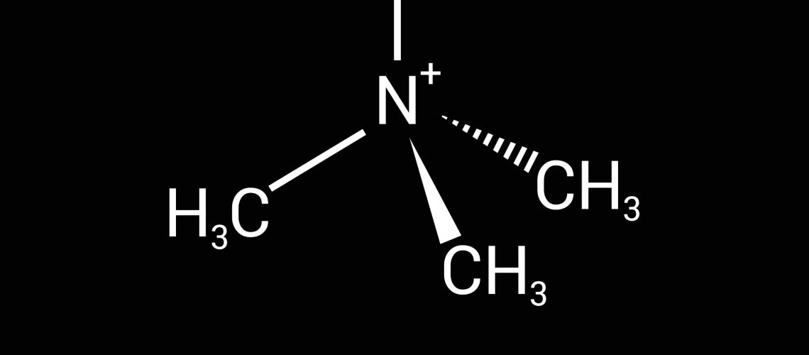 Review: Trimethylamine-N-Oxide (TMAO) as a Rising-Star Metabolite: Implications for Human Health. Image Credit: zizou7 / Shutterstock