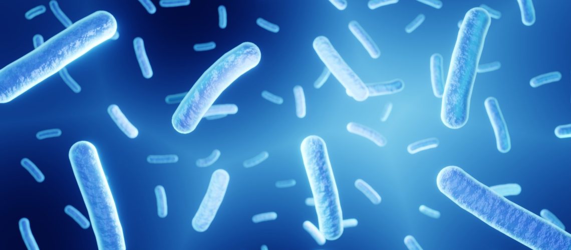 Microbiota